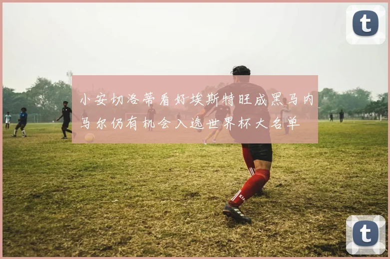小安切洛蒂看好埃斯特旺成黑马内马尔仍有机会入选世界杯大名单